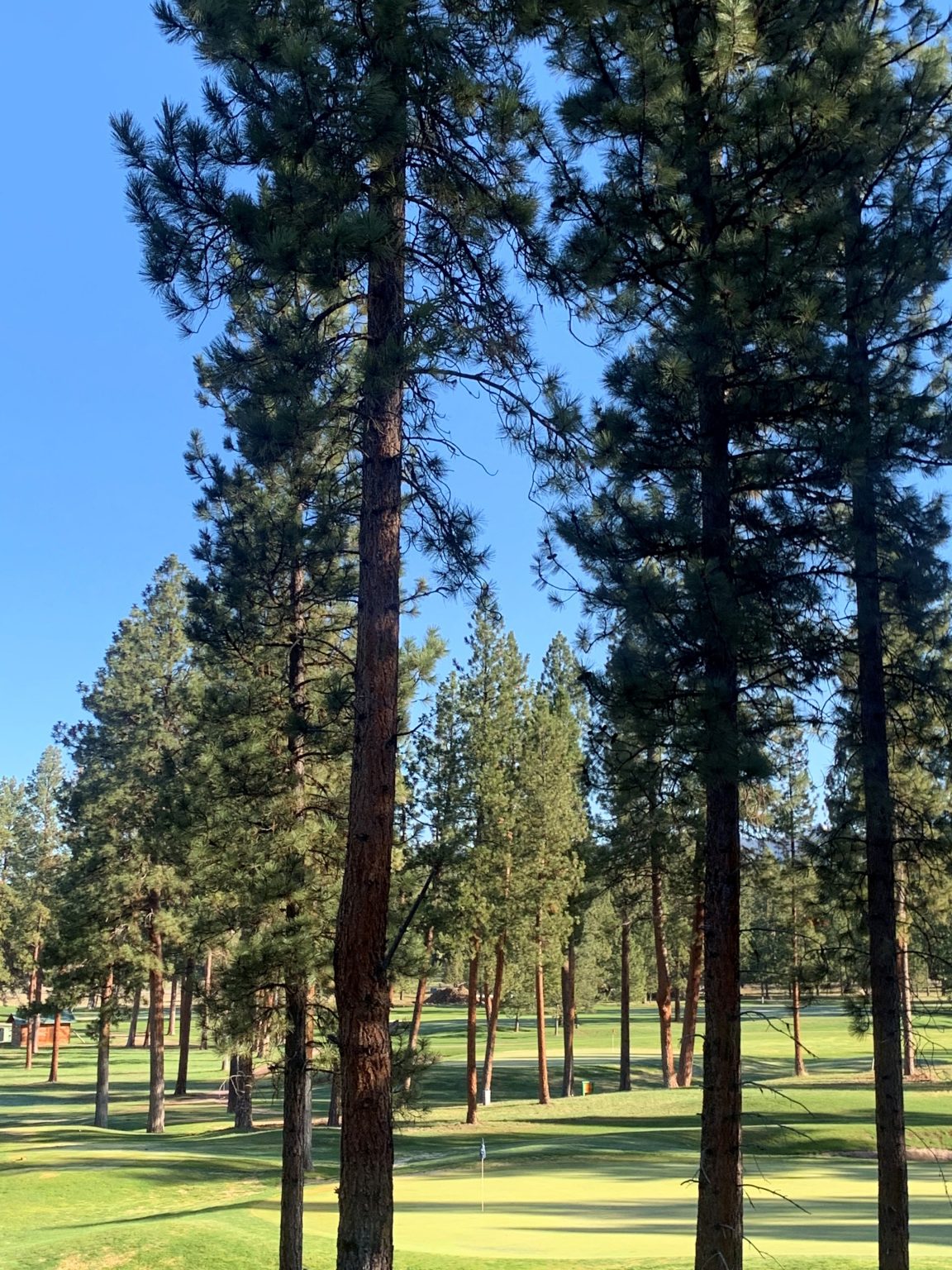 Golf Course Open Double Arrow Lodge